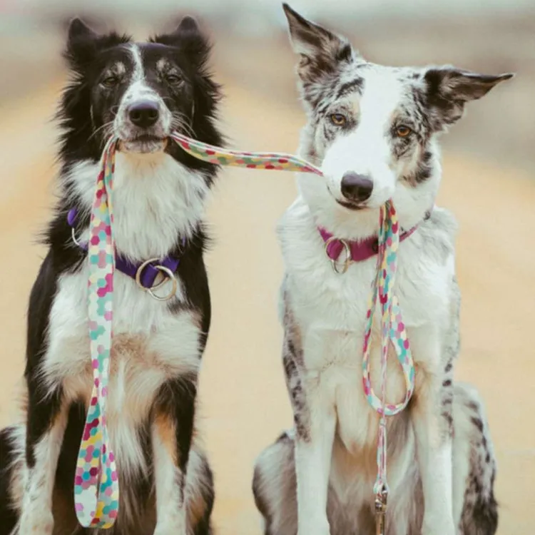 Smycz przepinana MARSHMALLOW 200cm 20mm