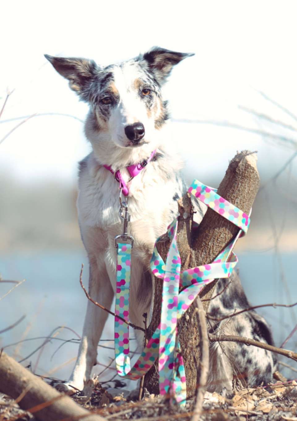 Smycz przepinana MARSHMALLOW 200cm 20mm