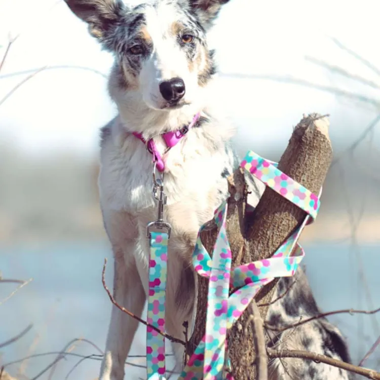 Smycz przepinana MARSHMALLOW 200cm 20mm