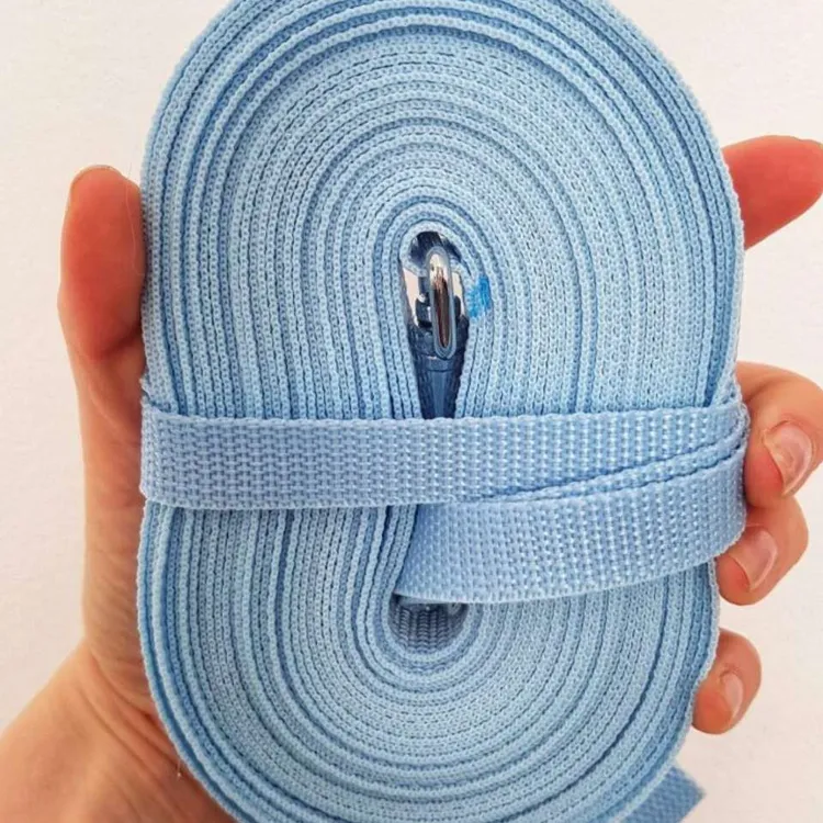 Smycz treningowa BŁĘKITNA 5m 15mm