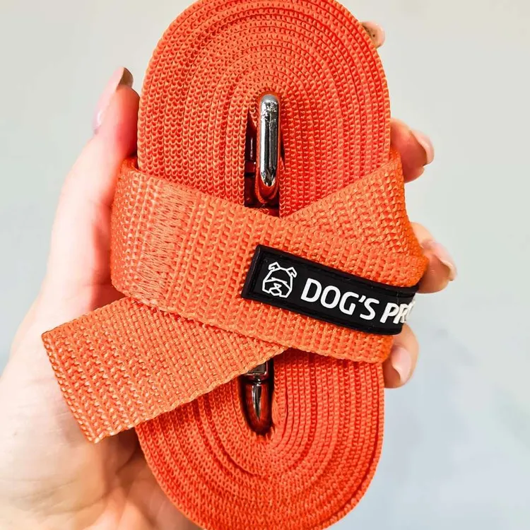 Smycz treningowa POMARAŃCZOWA 5m 15mm