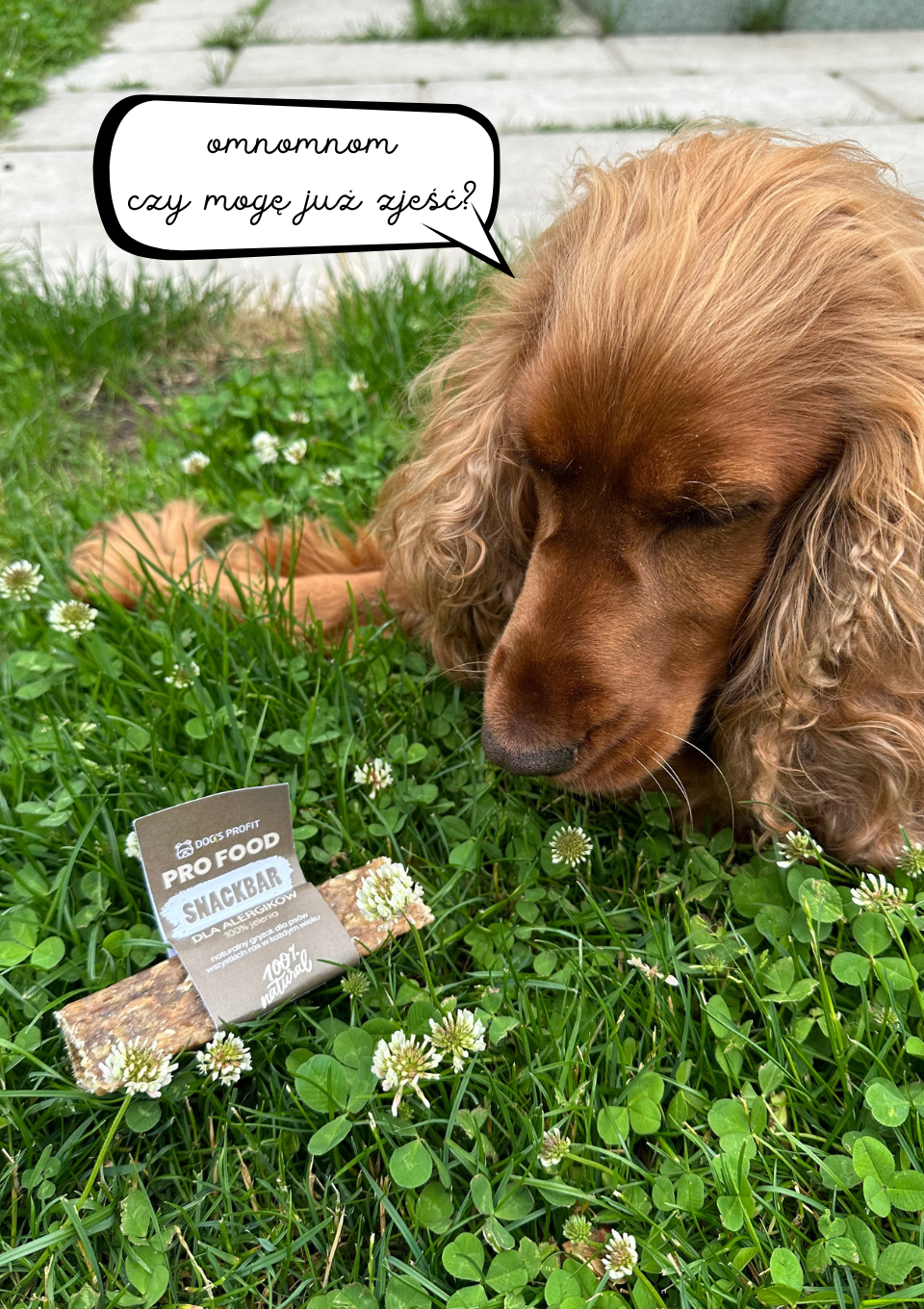 Gryzak dla psa SNACKBAR dla ALERGIKA 100% jeleń 12cm