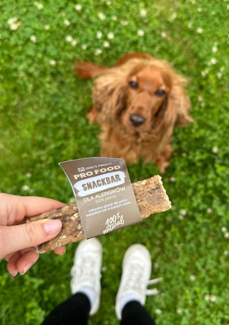 Gryzak dla psa SNACKBAR dla ALERGIKA 100% jeleń 12cm