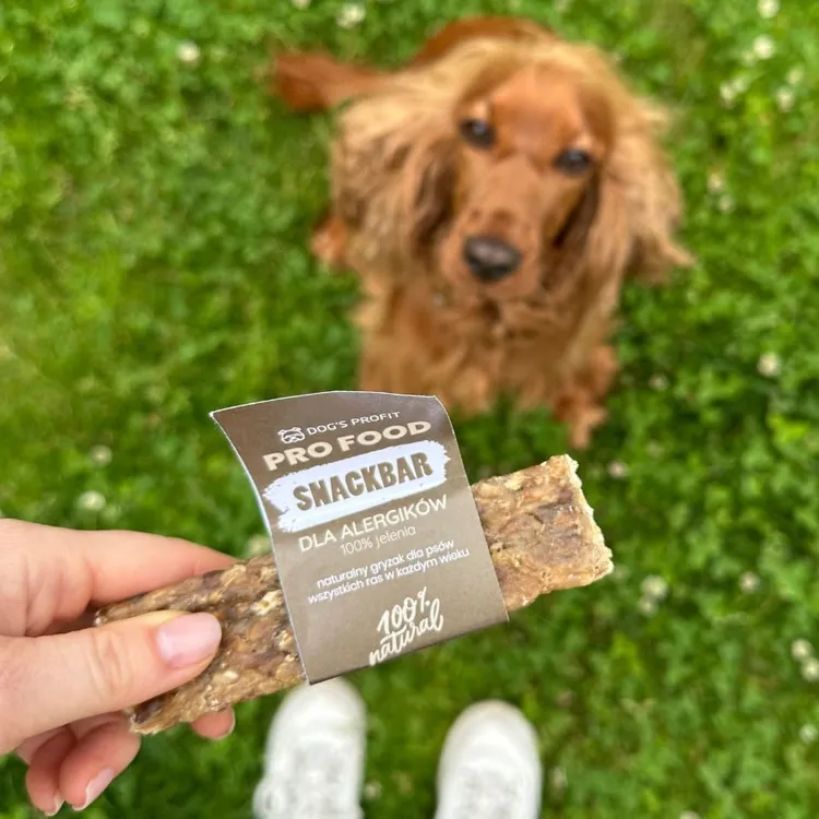 Gryzak dla psa SNACKBAR dla ALERGIKA 100% jeleń 12cm