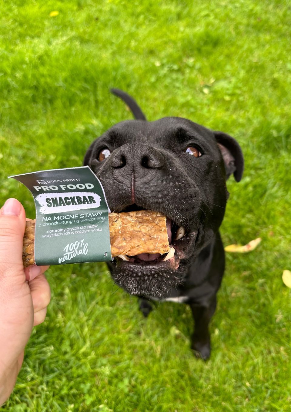 Gryzak dla psa SNACKBAR na MOCNE STAWY z glukozaminą 12cm
