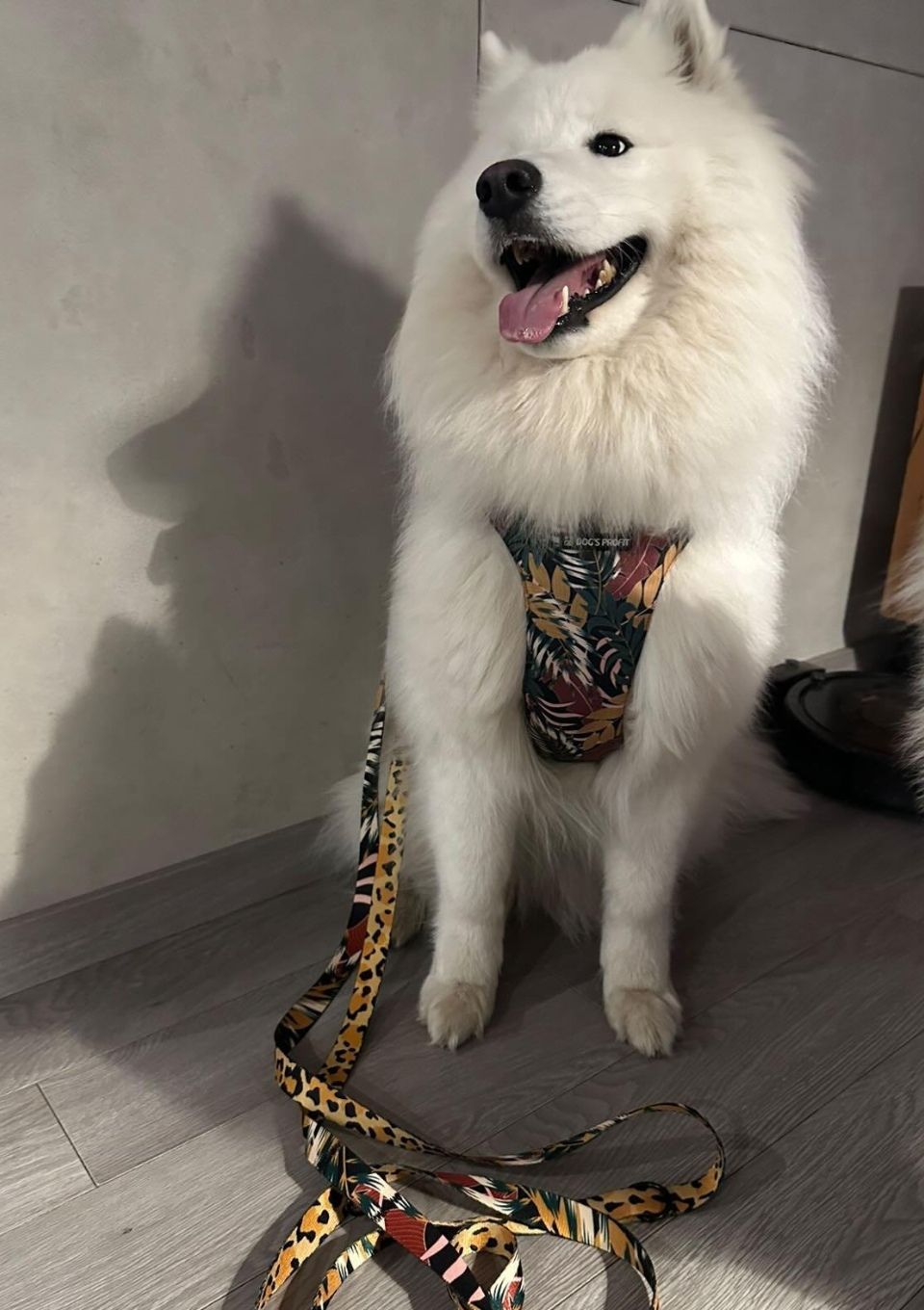 Szelki bezuciskowe PRO-FIT™ PALMS XS | 20mm