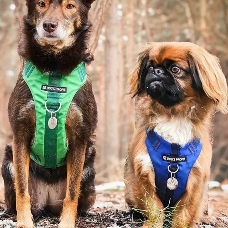 Szelki bezuciskowe PRO-ACTIVE™ ZIELONY XS | 20mm