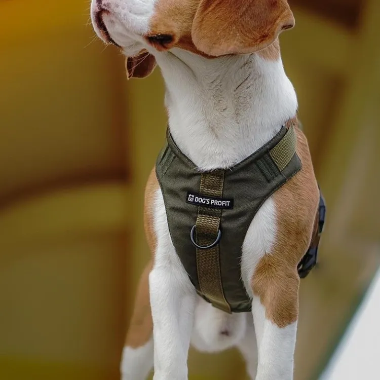 Szelki bezuciskowe PRO-ACTIVE™ KHAKI XS | 20mm