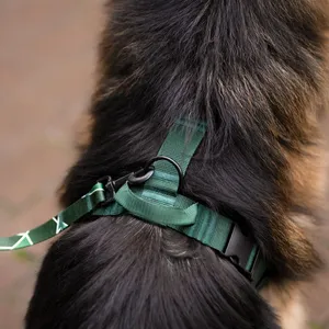 Rączka w szelkach bezuciskowych PRO ACTIVE Dog's Profit