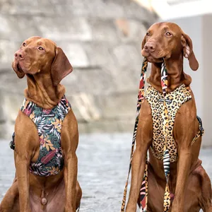 Pies w szelkach bezuciskowych PRO FIT Dog's Profit