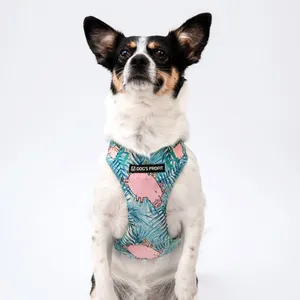 Personalizacja w szelkach bezuciskowych PRO FIT Dog's Profit
