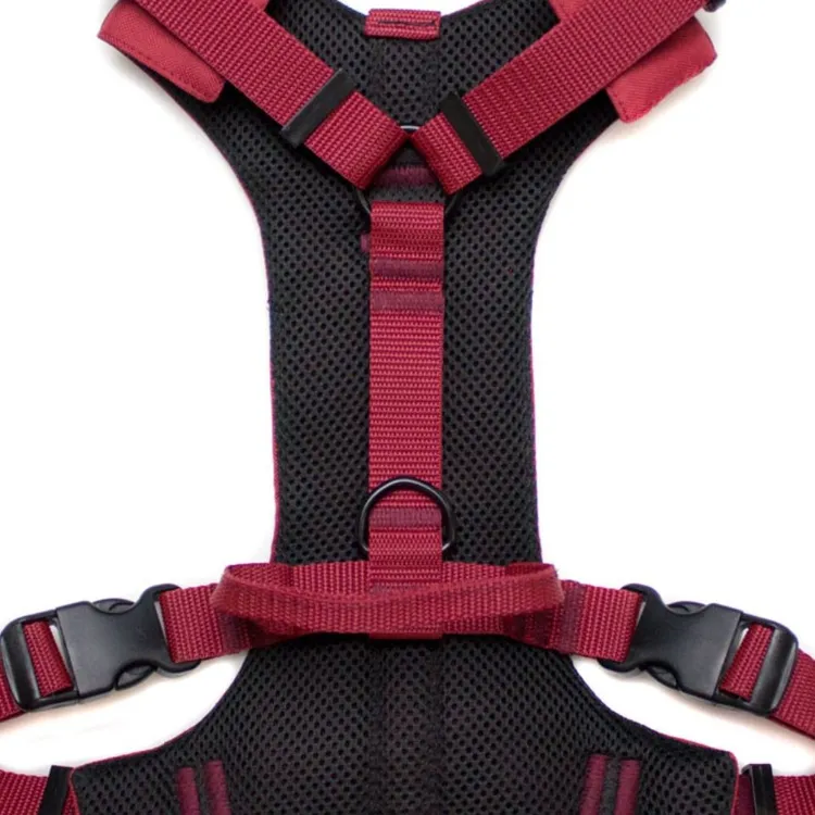 Szelki bezuciskowe PRO-ACTIVE™ BORDO XS | 20mm