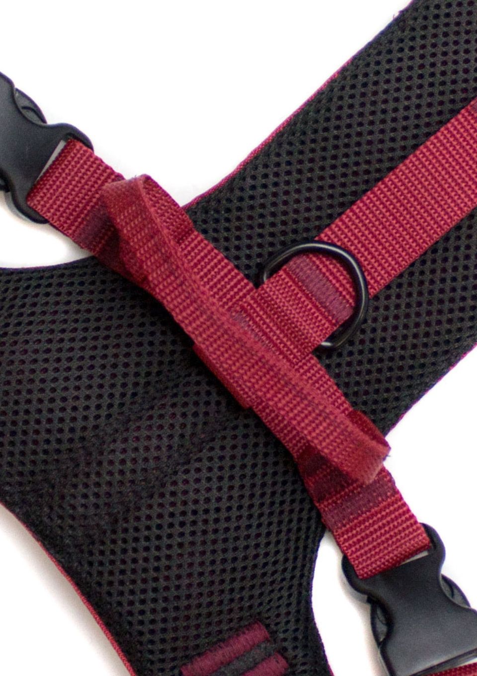 Szelki bezuciskowe PRO-ACTIVE™ BORDO XS | 20mm