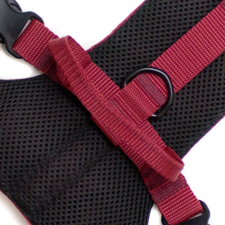 Szelki bezuciskowe PRO-ACTIVE™ BORDO XS | 20mm