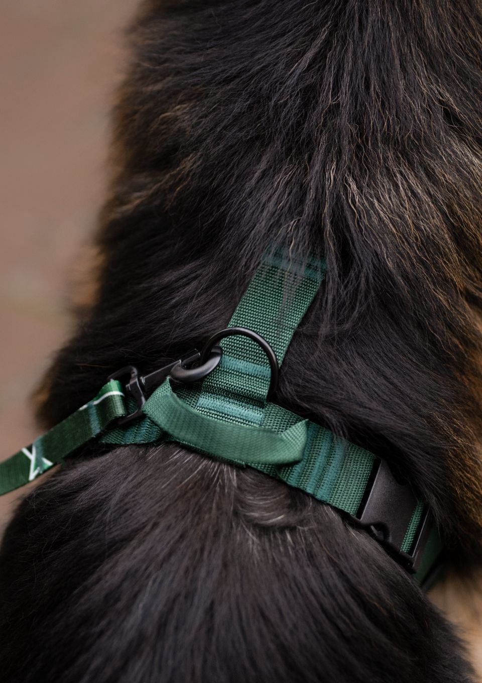 Szelki bezuciskowe PRO-ACTIVE™ BUTELKOWA ZIELEŃ S | 20mm