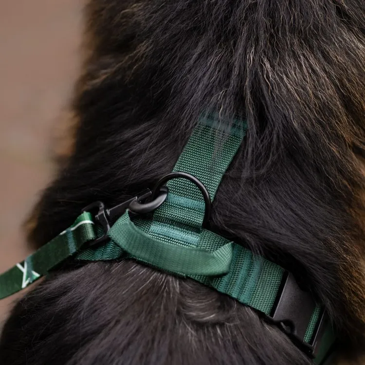 Szelki bezuciskowe PRO-ACTIVE™ BUTELKOWA ZIELEŃ S | 20mm