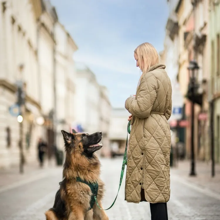 Szelki bezuciskowe PRO-ACTIVE™ BUTELKOWA ZIELEŃ S | 20mm