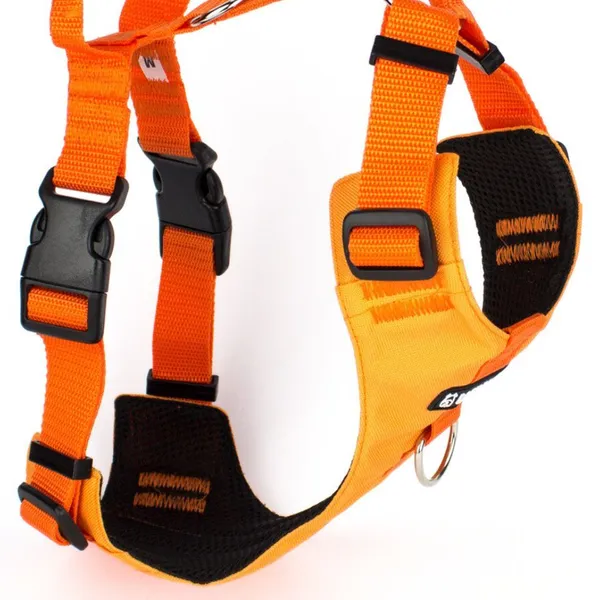 Szelki bezuciskowe PRO-ACTIVE™ POMARAŃCZOWE JAK POMARAŃCZA