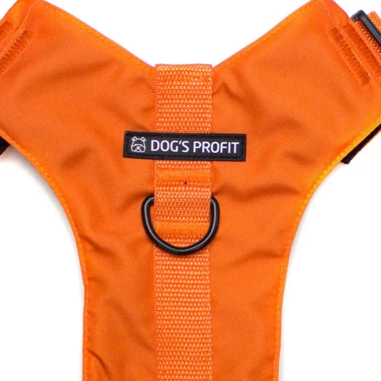 Szelki bezuciskowe PRO-ACTIVE™ POMARAŃCZOWY XS | 20mm