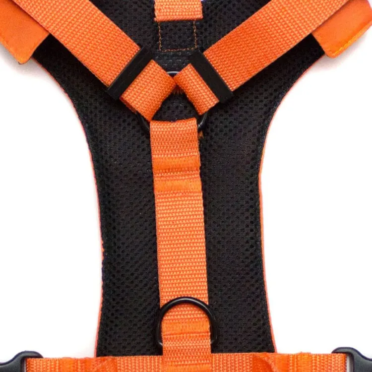 Szelki bezuciskowe PRO-ACTIVE™ POMARAŃCZOWY XS | 20mm