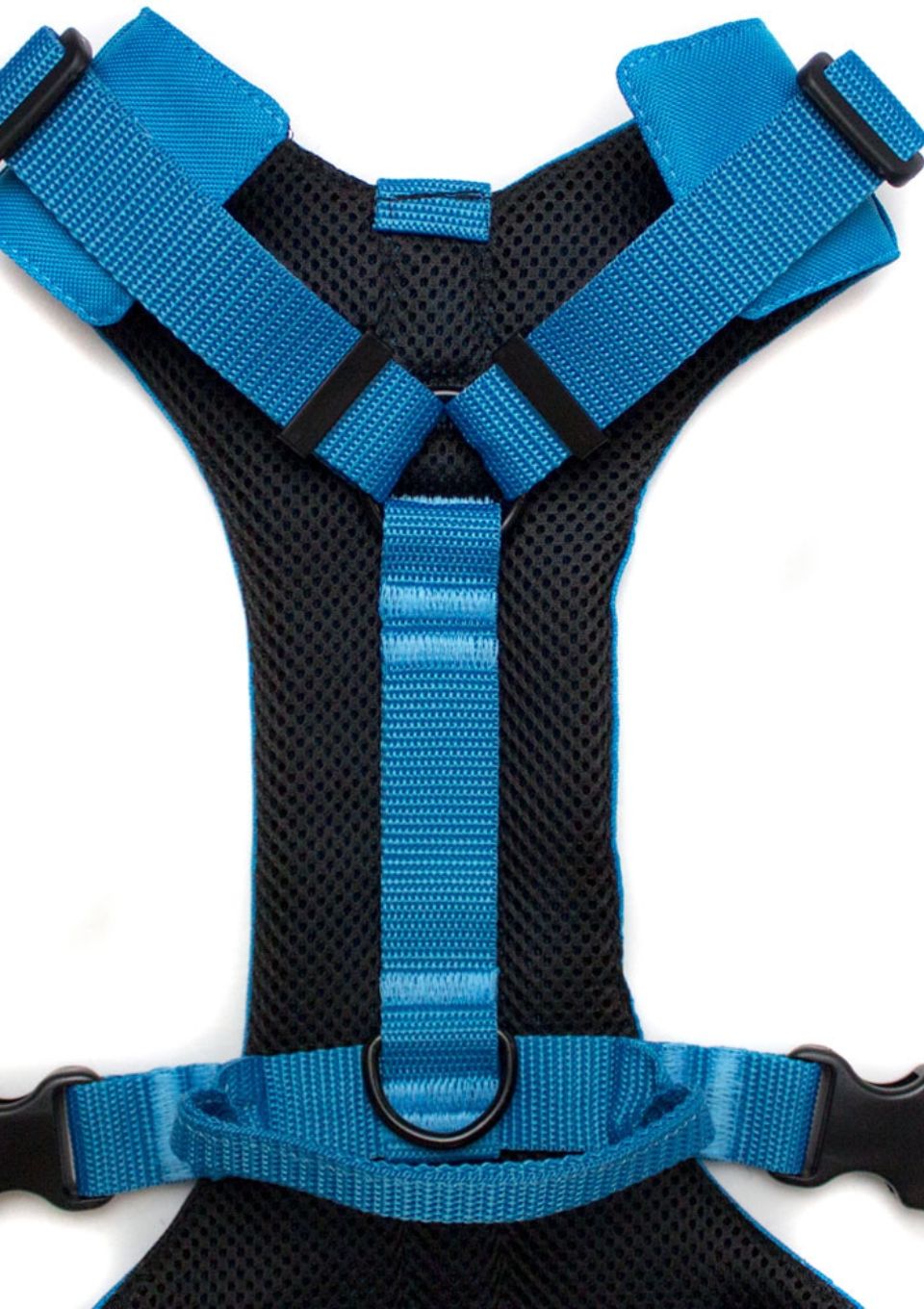 Szelki bezuciskowe PRO-ACTIVE™ TURKUSOWY XS | 20mm