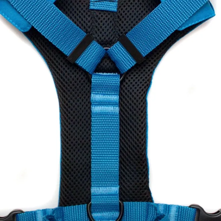 Szelki bezuciskowe PRO-ACTIVE™ TURKUSOWY XS | 20mm