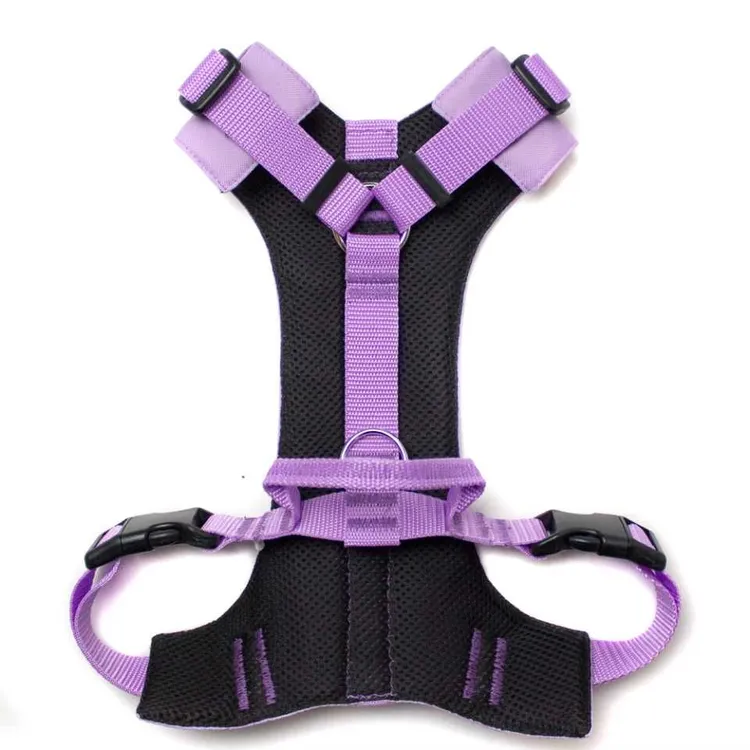 Szelki bezuciskowe PRO-ACTIVE™ WRZOSOWY XS | 20mm