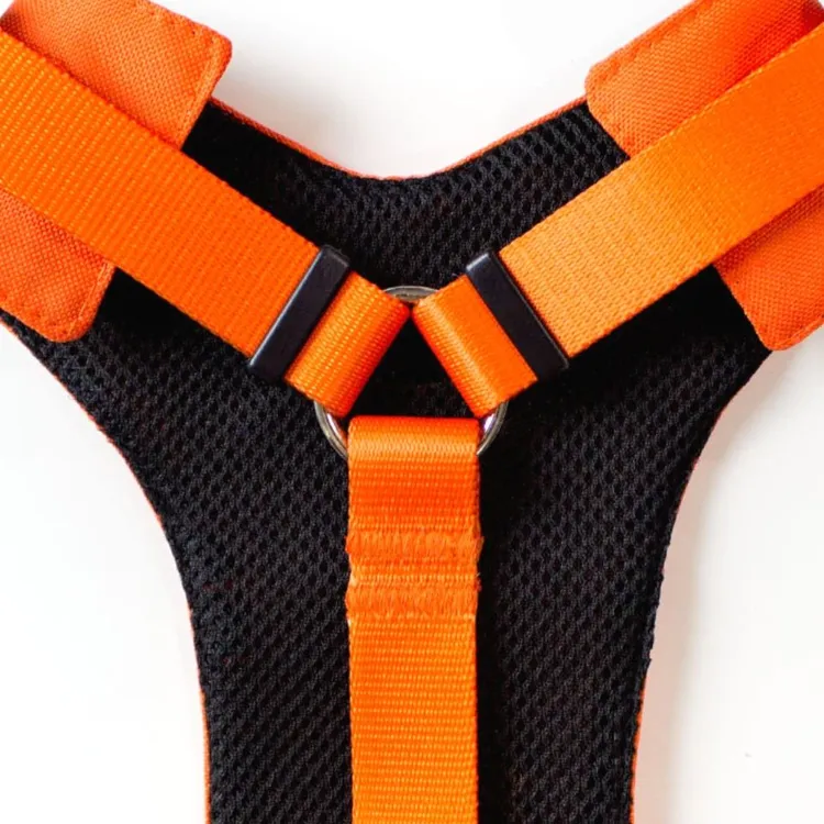 Szelki bezuciskowe PRO-FIT™ AMARILLO S | 20mm