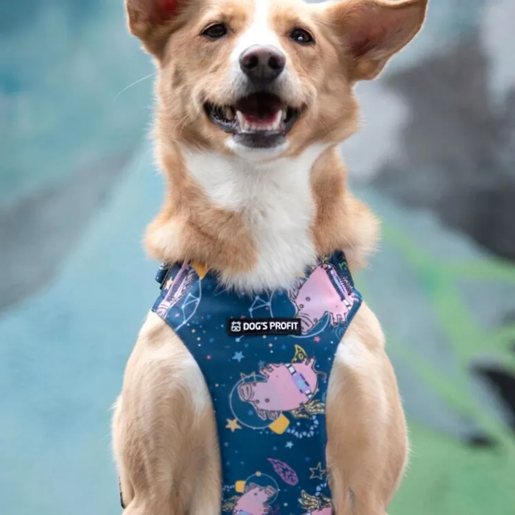 Szelki bezuciskowe PRO-FIT™ ASTRO PIG XS | 20mm