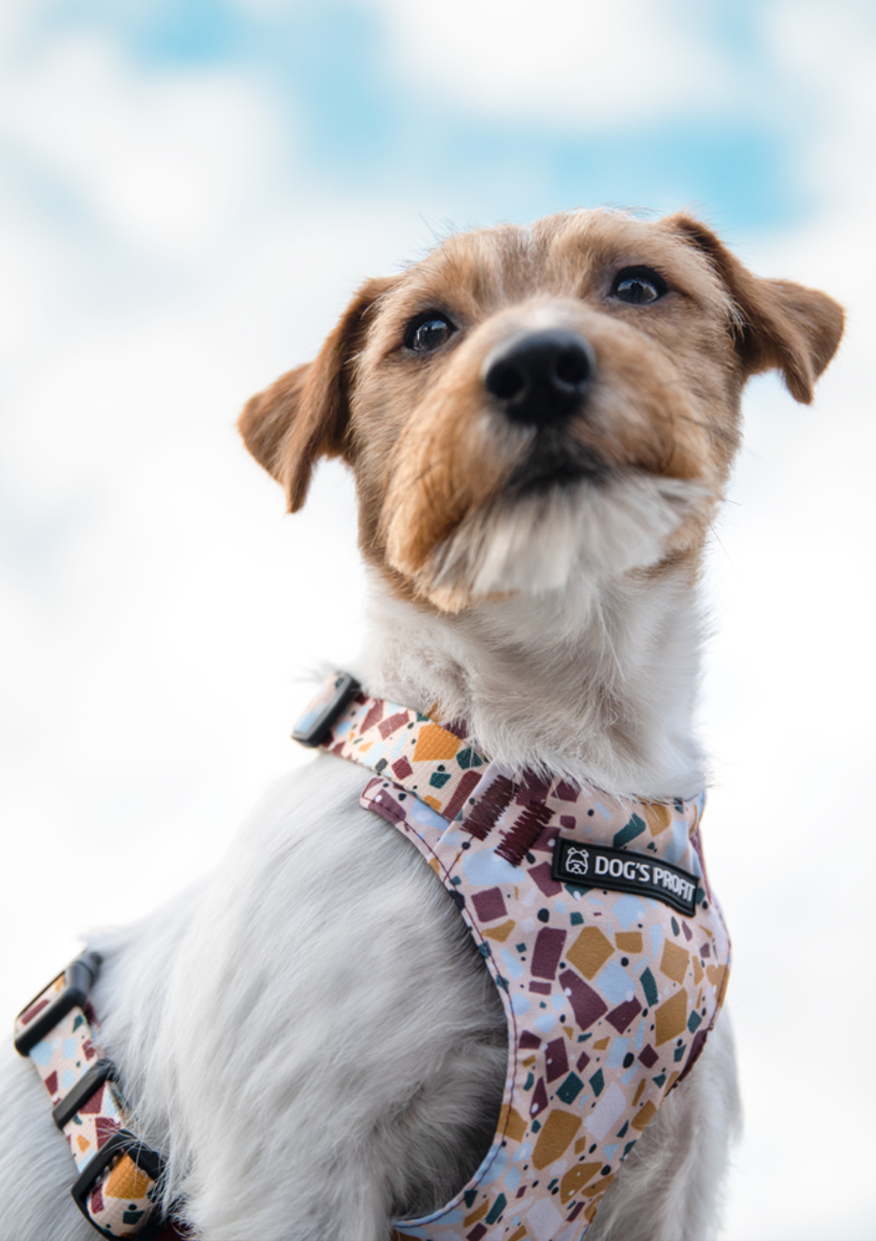 Szelki bezuciskowe PRO-FIT™ CANTUCCINO XS | 20mm