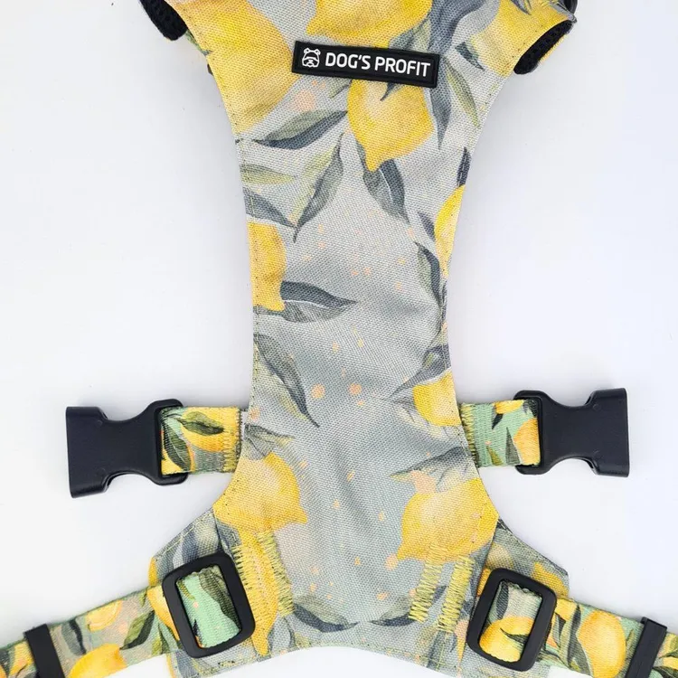 Szelki bezuciskowe PRO-FIT™ SIGNORA LIMONE XS|20mm