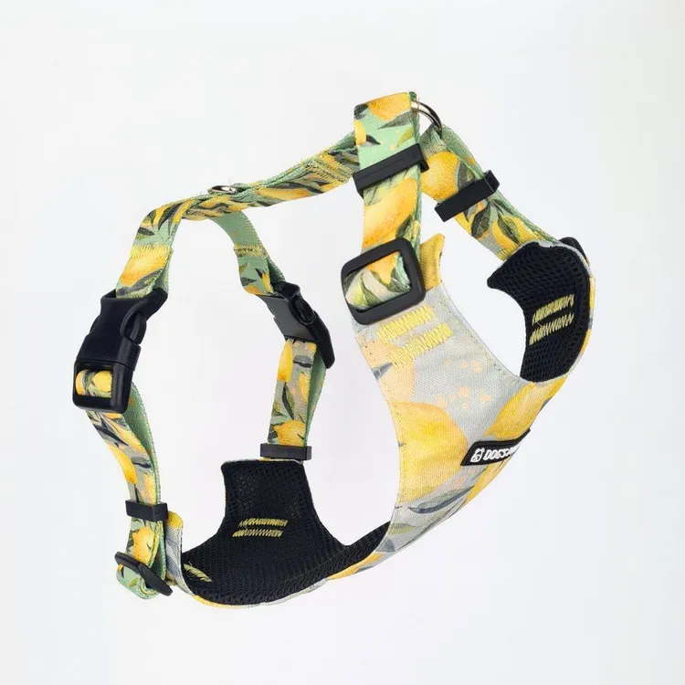 Szelki bezuciskowe PRO-FIT™ SIGNORA LIMONE XS|20mm