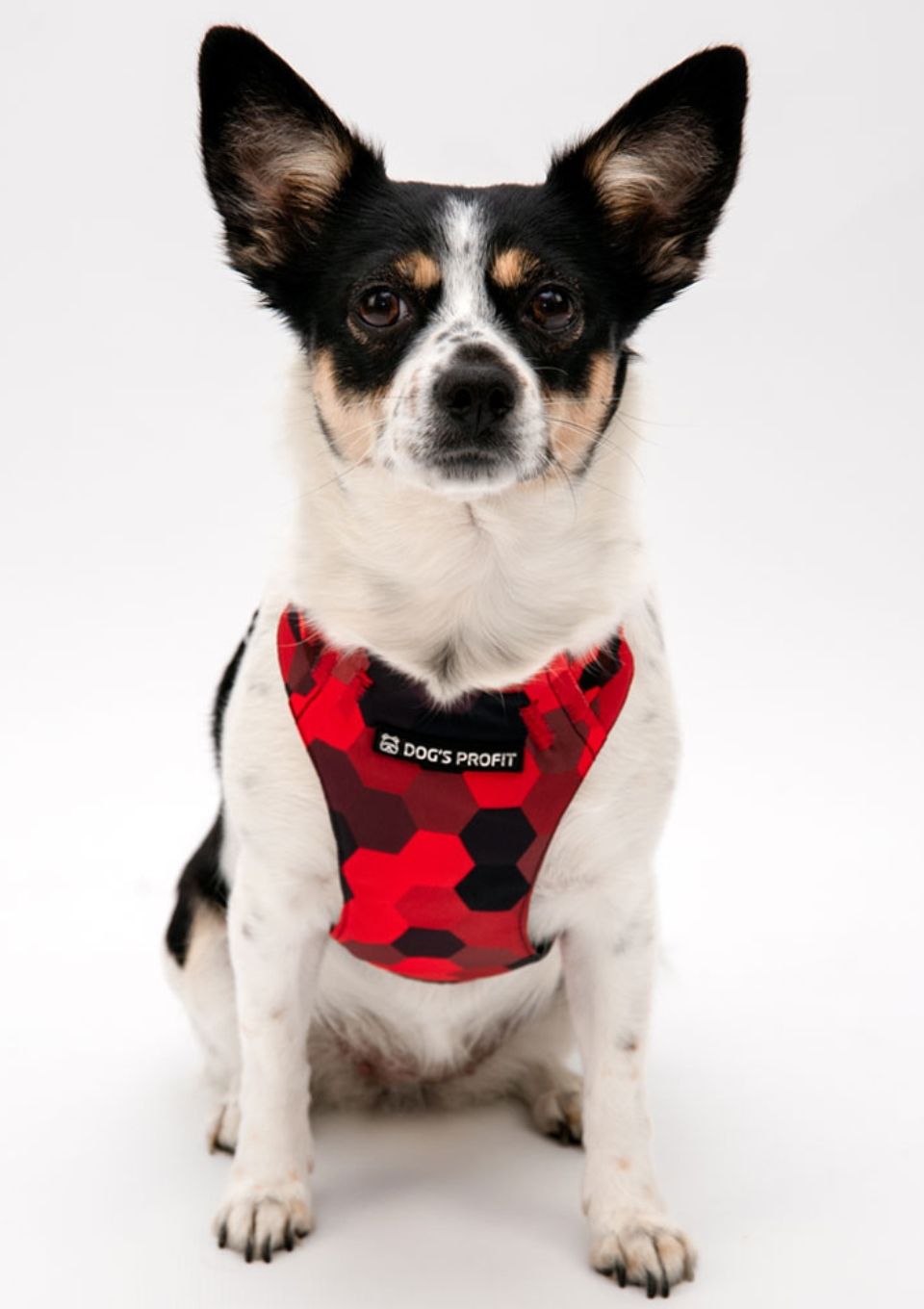 Szelki bezuciskowe PRO-FIT™ DOG&ROLL XS | 20mm