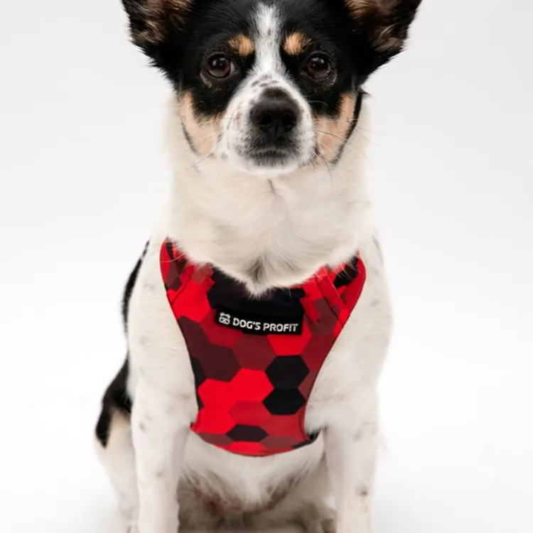 Szelki bezuciskowe PRO-FIT™ DOG&ROLL XS | 20mm