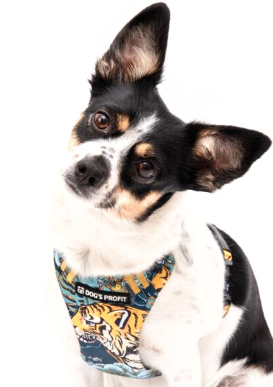 Szelki bezuciskowe PRO-FIT™ EXOTIC XS | 20mm