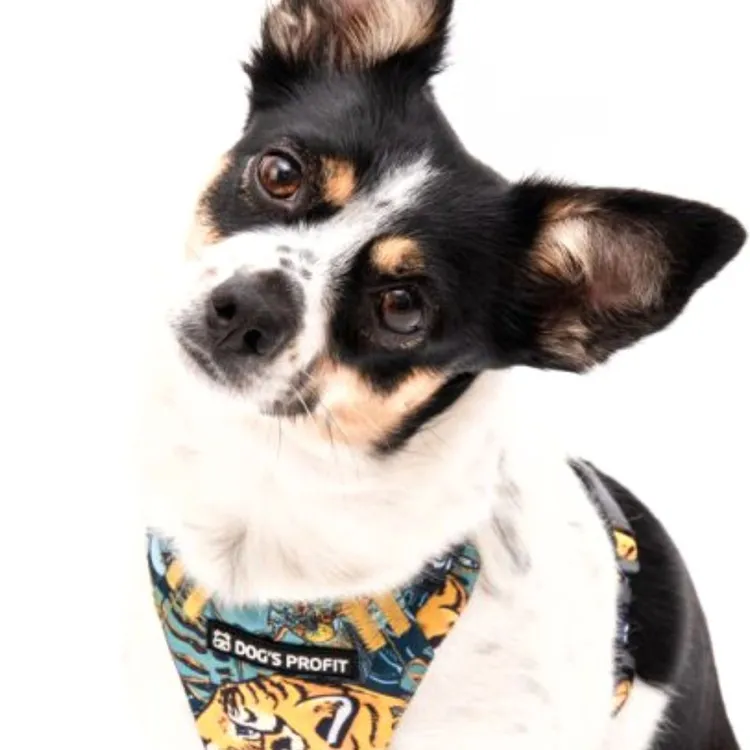 Szelki bezuciskowe PRO-FIT™ EXOTIC XS | 20mm