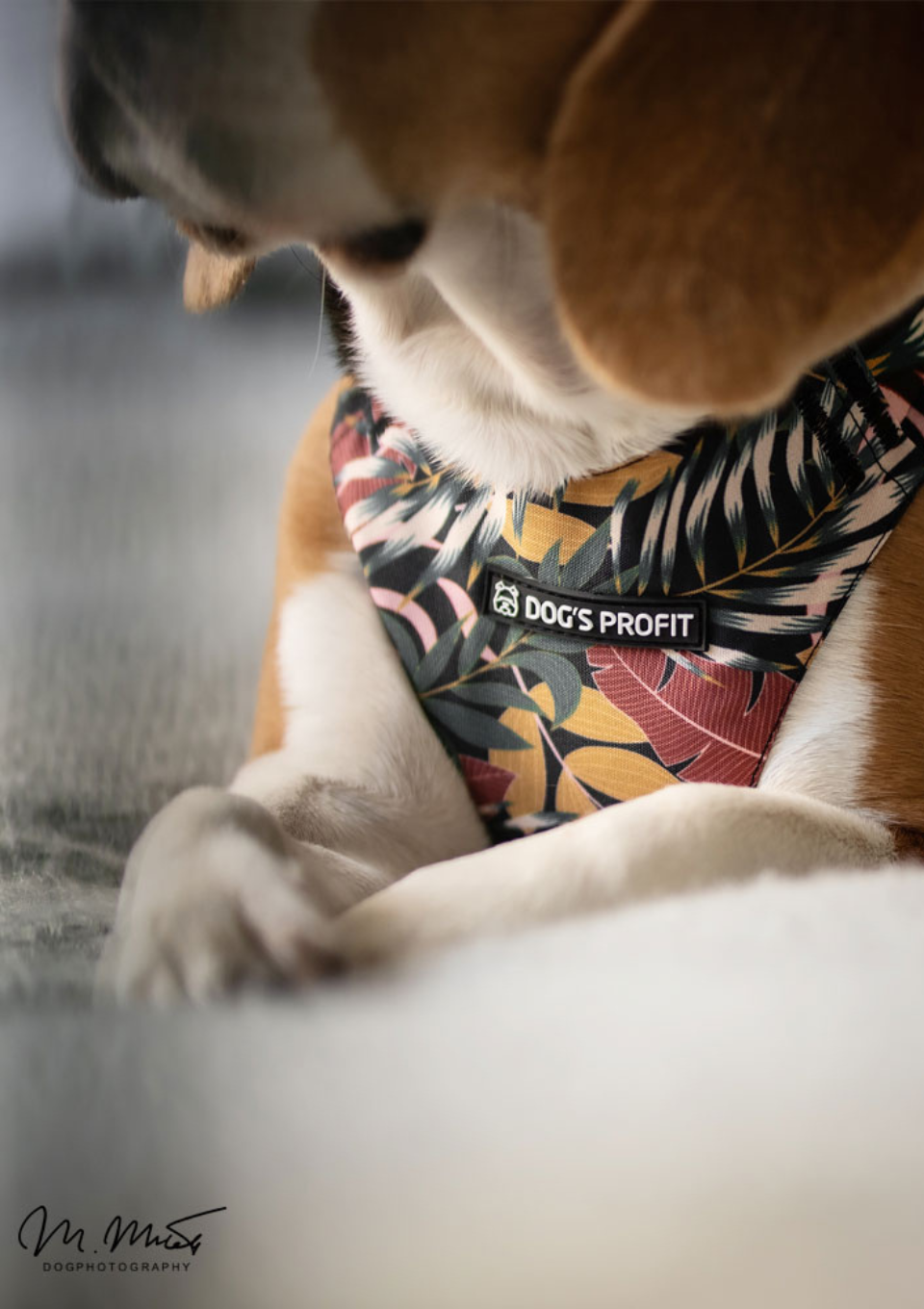 Szelki bezuciskowe PRO-FIT™ PALMS XS | 20mm