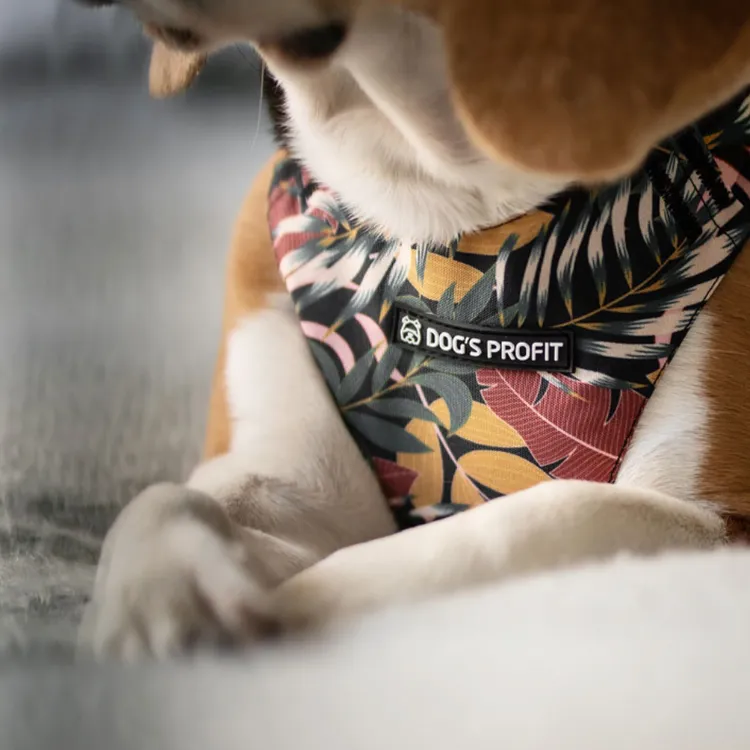 Szelki bezuciskowe PRO-FIT™ PALMS XS | 20mm