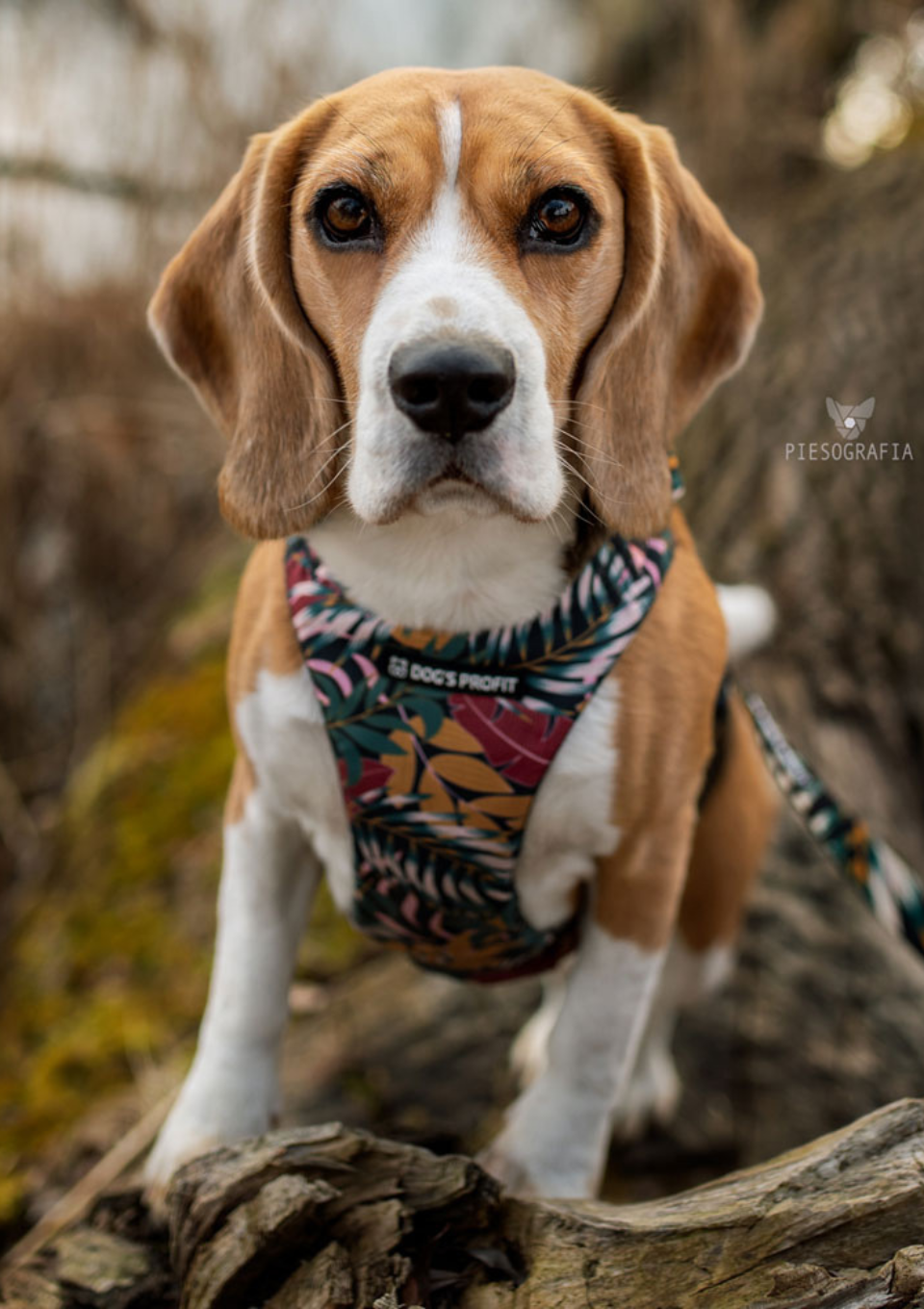 Szelki bezuciskowe PRO-FIT™ PALMS XS | 20mm