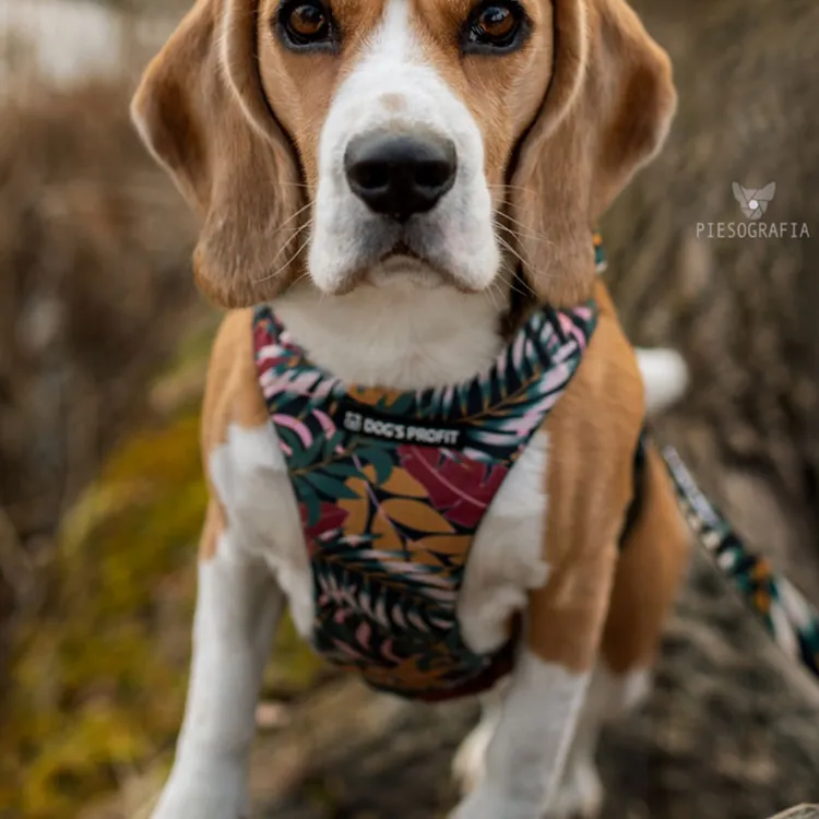 Szelki bezuciskowe PRO-FIT™ PALMS XS | 20mm