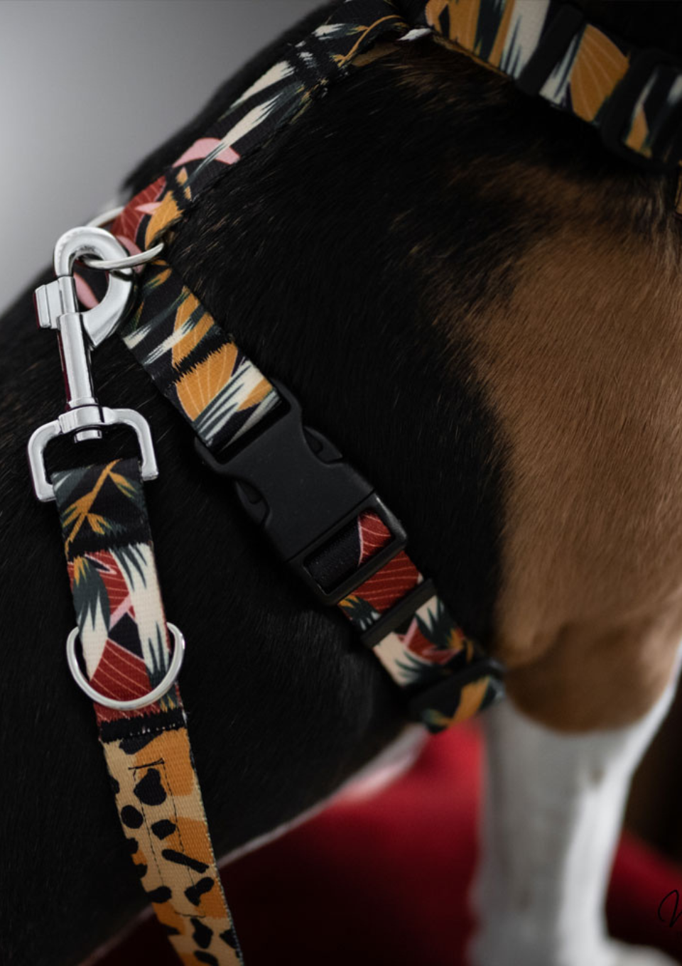 Smycz przepinana PALMS 200cm 20mm