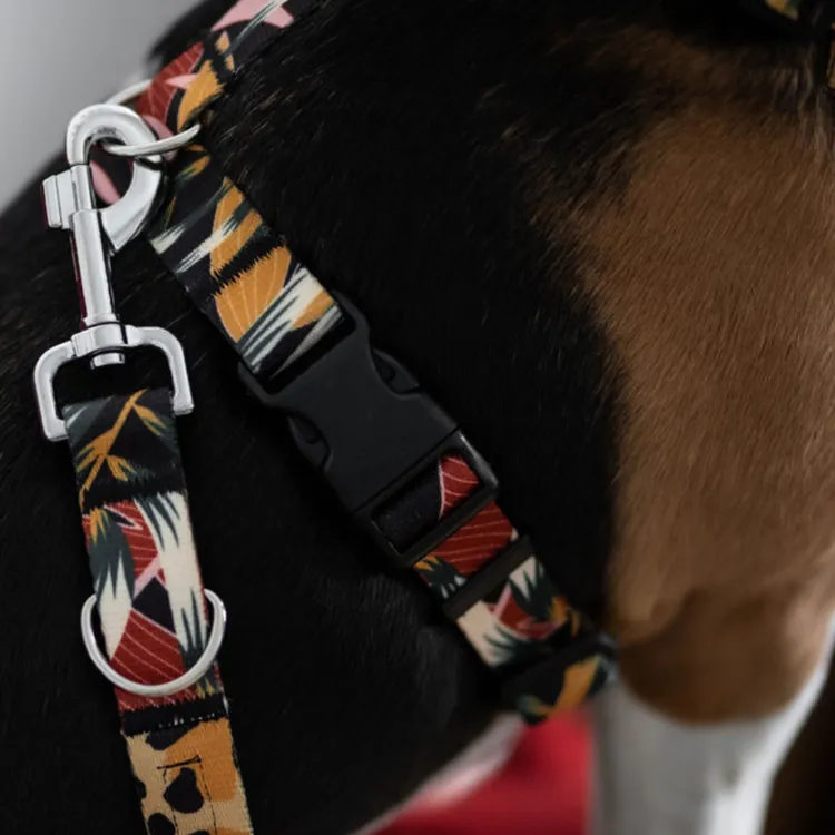 Szelki bezuciskowe PRO-FIT™ PALMS XS | 20mm