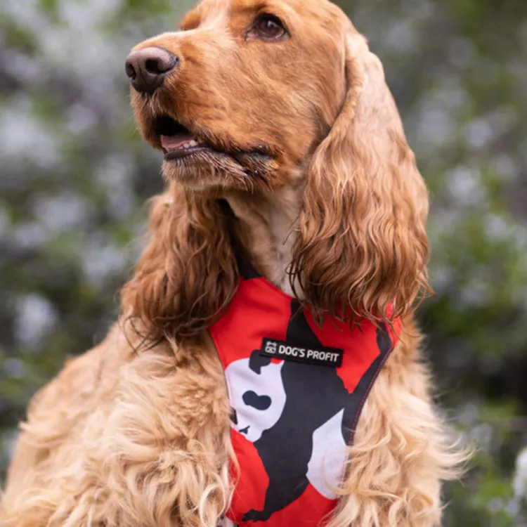 Szelki bezuciskowe PRO-FIT™ PO XS | 20mm