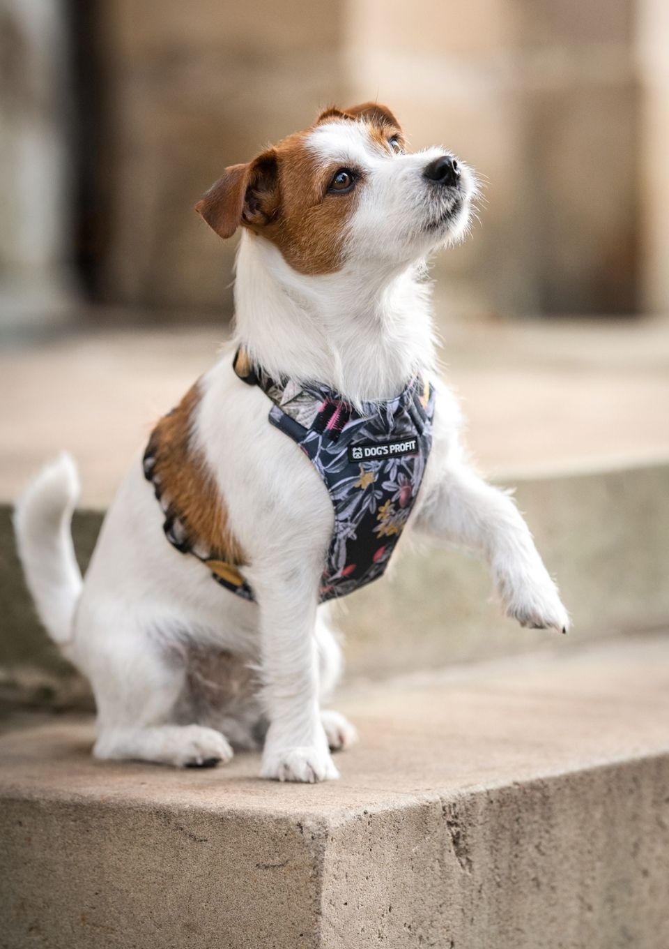 Szelki bezuciskowe PRO-FIT™ RETRO XS | 20mm