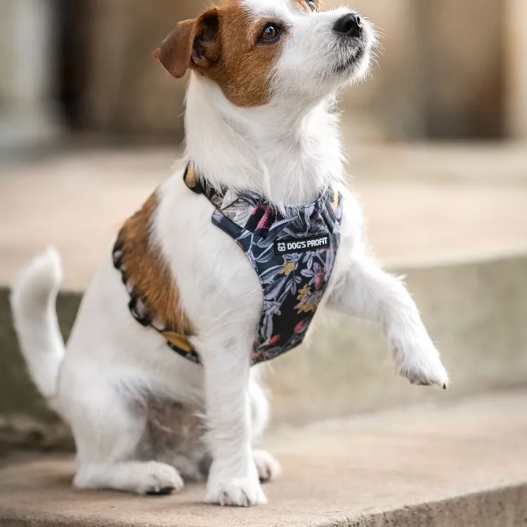 Szelki bezuciskowe PRO-FIT™ RETRO XS | 20mm