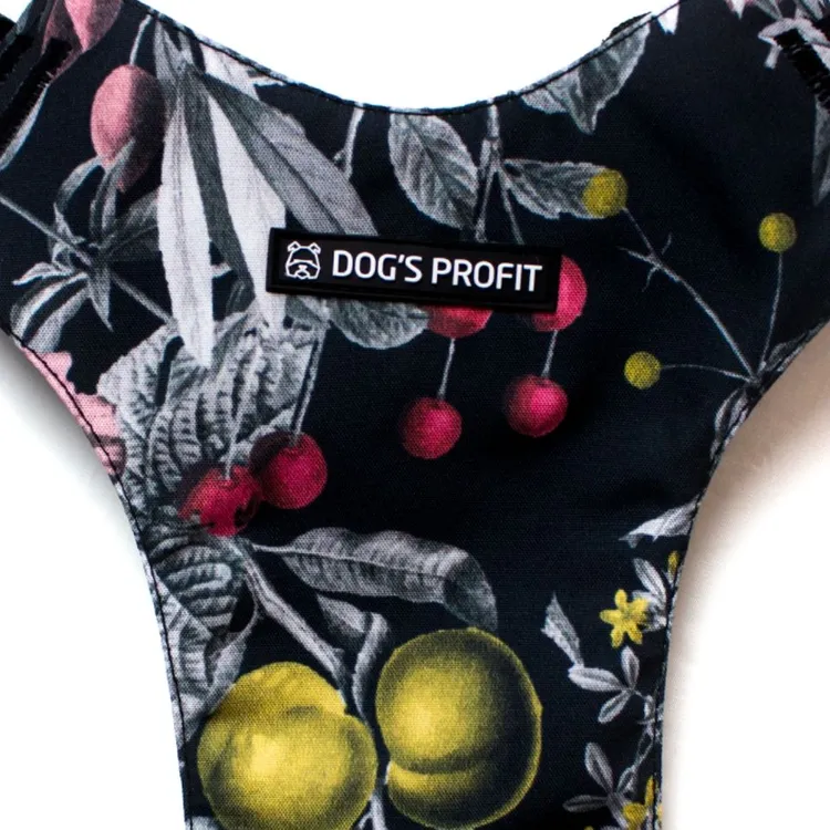 Szelki bezuciskowe PRO-FIT™ RETRO XS | 20mm