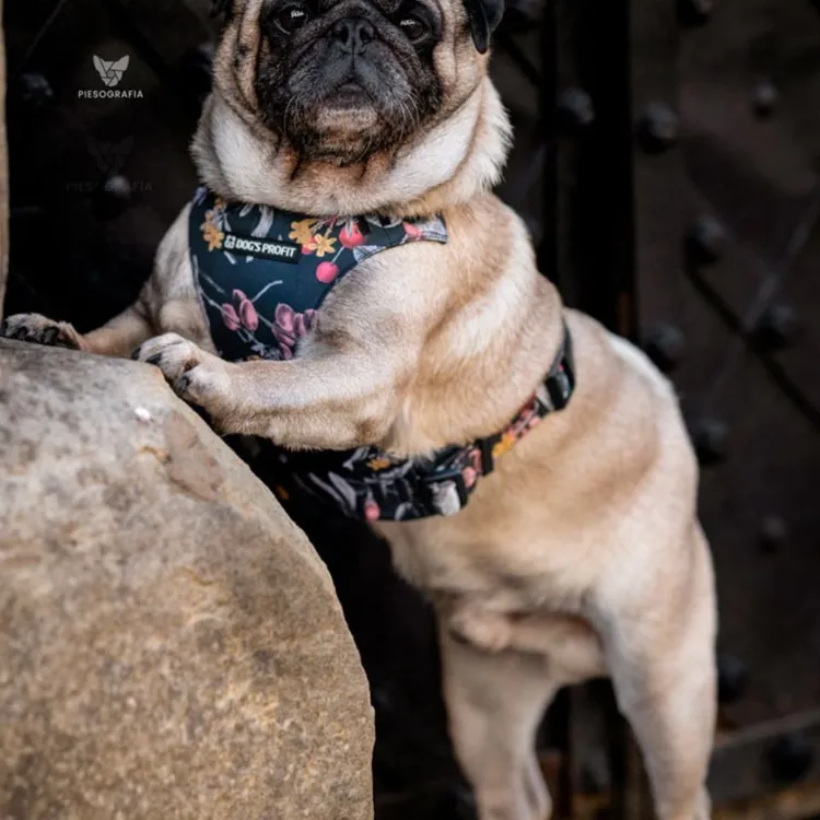 Szelki bezuciskowe PRO-FIT™ RETRO XS | 20mm