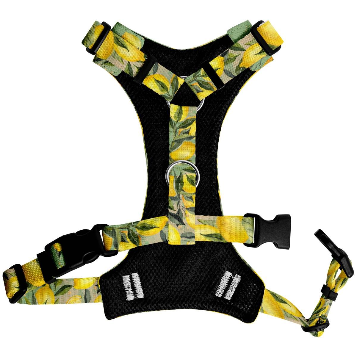 Szelki bezuciskowe PRO-FIT™ SIGNORA LIMONE XS|20mm