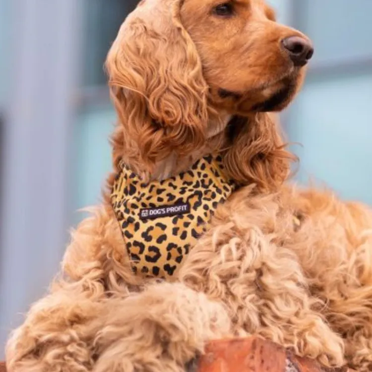 Szelki bezuciskowe PRO-FIT™ WILD XS | 20mm