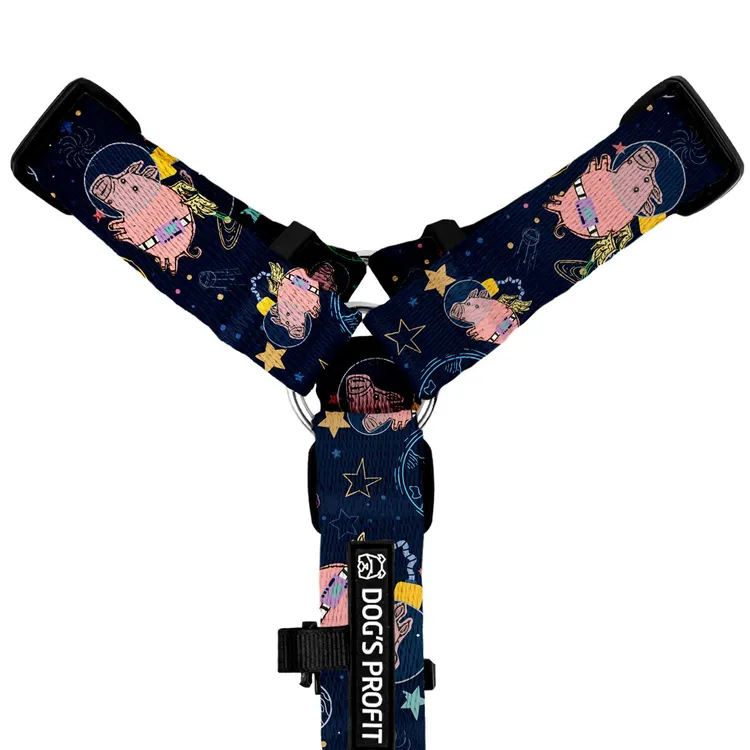 Szelki typu guard ASTRO PIG S | 20mm